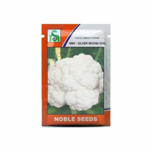 NOBLE CAULIFLOWER NBH-SILVER MOON(1470) (10 gm)