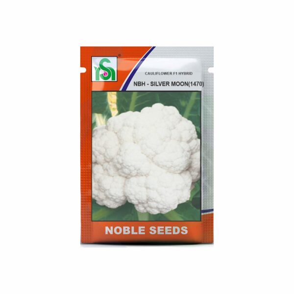 NOBLE CAULIFLOWER NBH-SILVER MOON(1470) (10 gm)