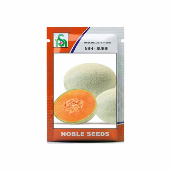 NOBLE MUSK MELON NBH SUBBI (50 gm)