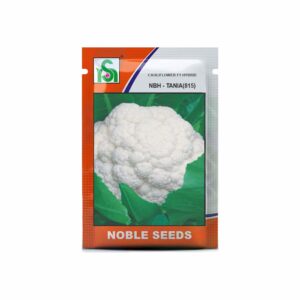 NOBLE CAULIFLOWER NBH-TANIA(815)/1257 (50 gm)