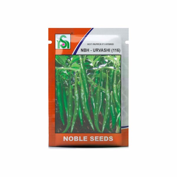 NOBLE HOT PEPPER NBH-URVASHI(116) (10 gm)