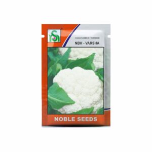 NOBLE CAULIFLOWER NBH-VARSHA (10 gm)