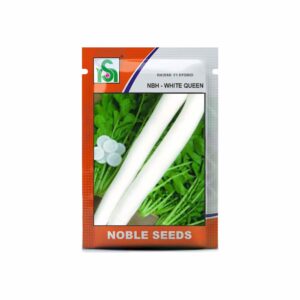 NOBLE RADISH NBH-WHITE QUEEN (250 gm)