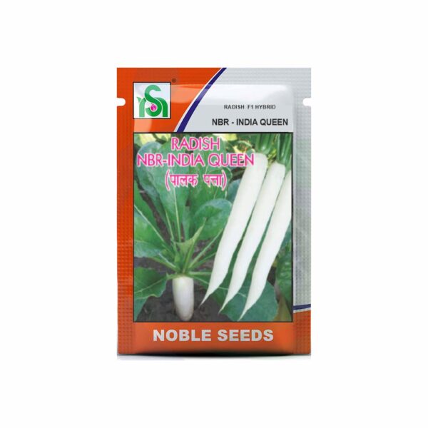 NOBLE RADISH NBR-India queen (25 gm)