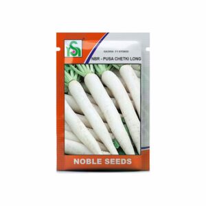 NOBLE RADISH NBR-Pusa Chetki Long (250 gm)