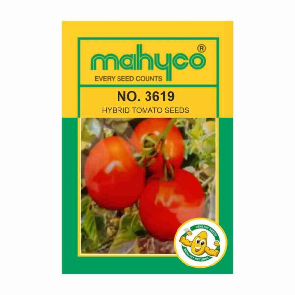 MAHYCO TOMATO NO. 3619 (10 GM)