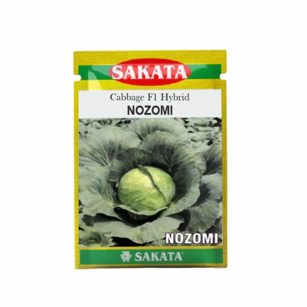 SAKATA CABBAGE F1 NOZOMI  (10 GM) (POUCH)