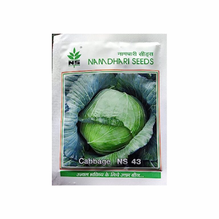 Namdhari NS 43 CABBAGE (10 gm) LeafConAgro