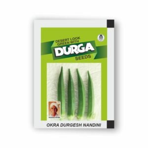 DURGA OKRA DURGESH NANDINI (KITCHEN GARDEN PACKET) (Minimum 10 Packets)