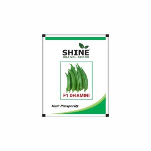 SHINE F1 DHAMINI OKRA SEEDS (500 gm)