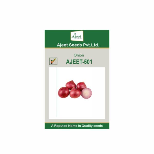 AJEET IMPROVED ONION - 501 (100 GM)