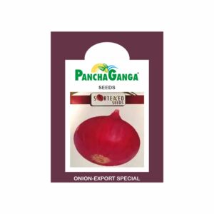 Panchaganga ONION EXPORT SPECIAL (500 GM)