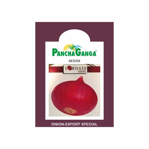 Panchaganga ONION EXPORT SPECIAL (500 GM)