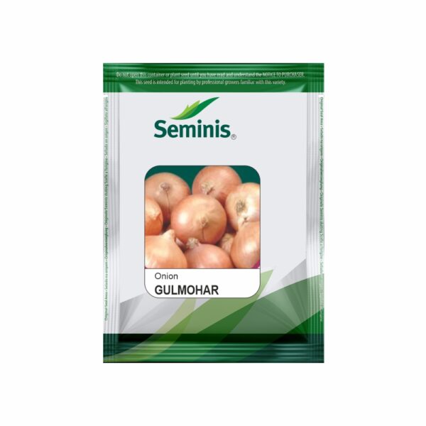 SEMINIS / MONSANTO ONION GULMOHAR (500GM)