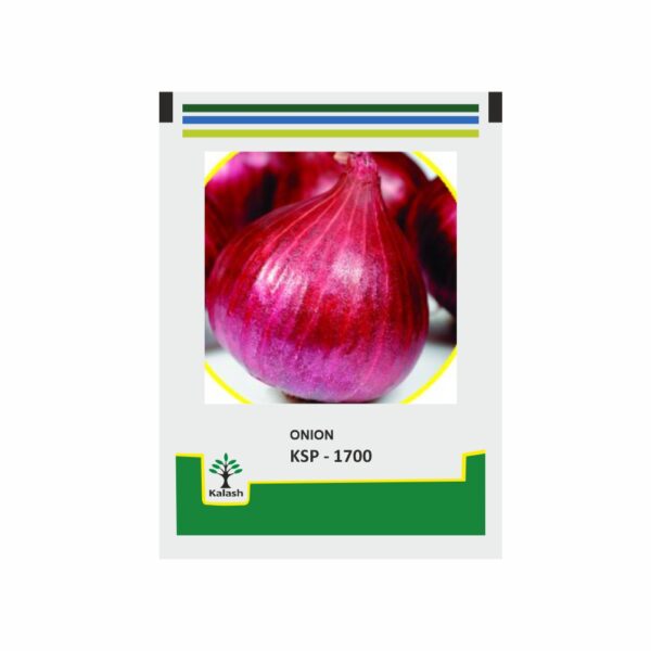 KALASH ONION KSP 1700 (500 GM)