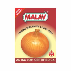 MALAV ONION  AGRI FOUND LIGHT RED (500 GM)
