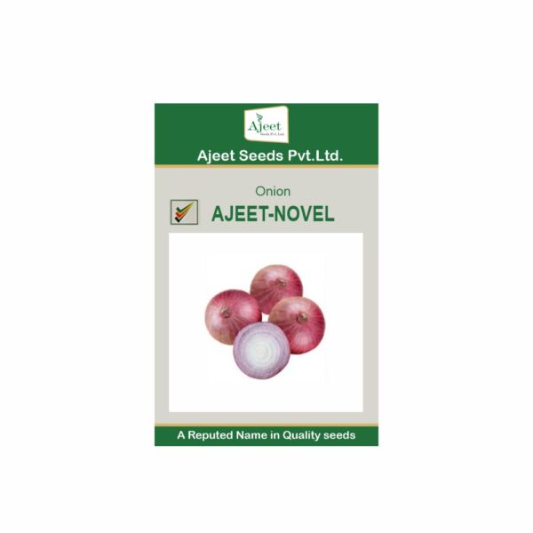 AJEET IMPROVED ONION  NOVEL (500 GM)