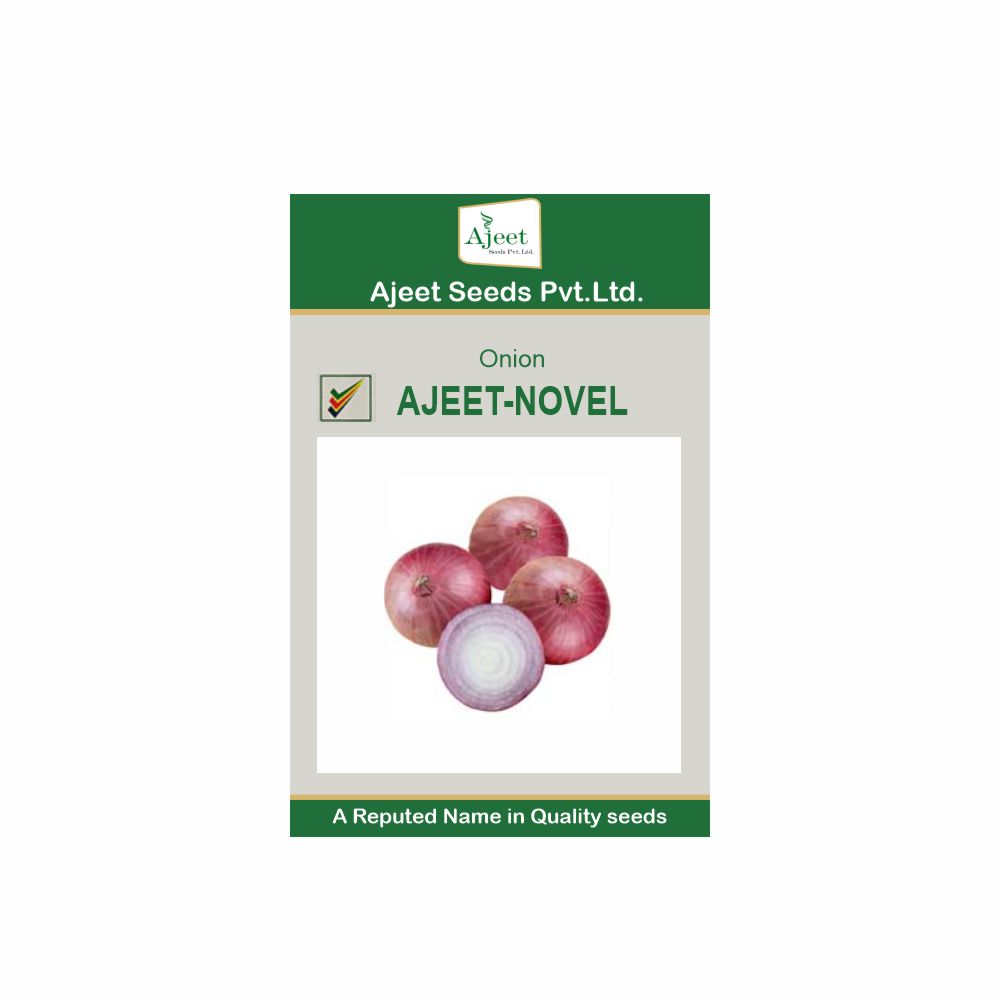 AJEET IMPROVED ONION  NOVEL (500 GM)