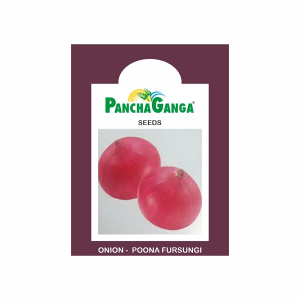 Panchaganga ONION POONA FURSUNGI (500 GM)