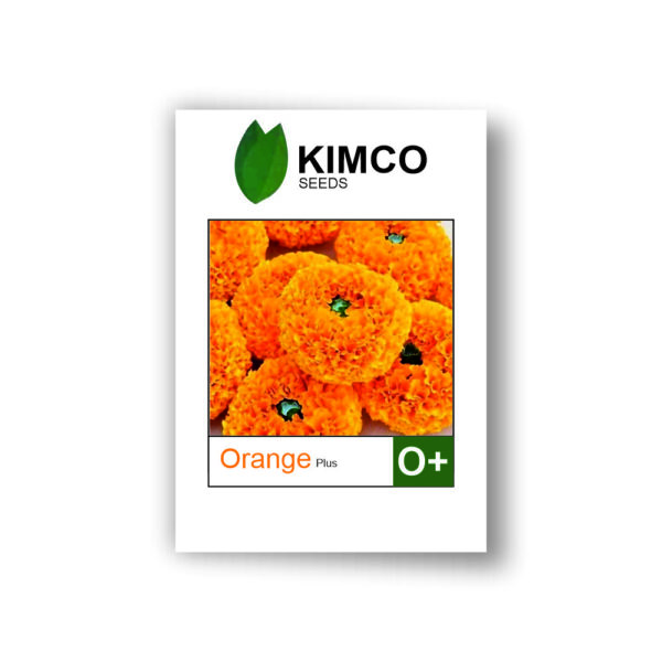KIMCO MARIGOLD OMNI ORANGE PLUS (10000 SEEDS)