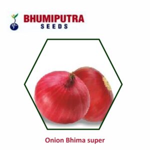 BHUMIPUTRA Hybrid Onion Bhima super seeds (500 GM)