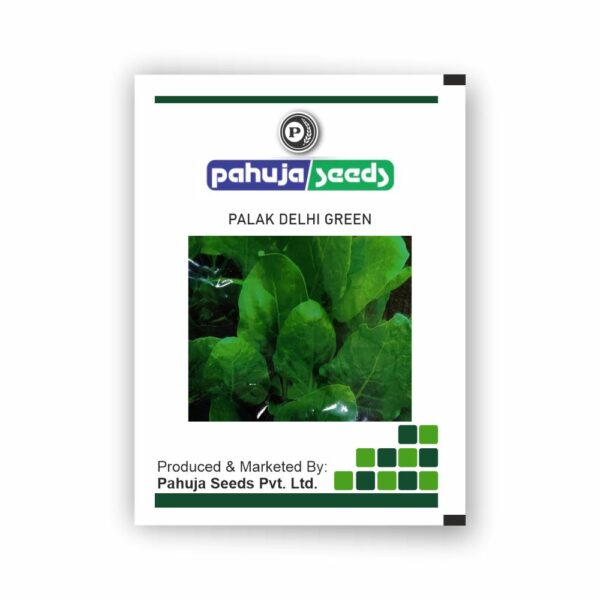 PAHUJA PALAK DELHI GREEN - PAHUJA - (500GMS)