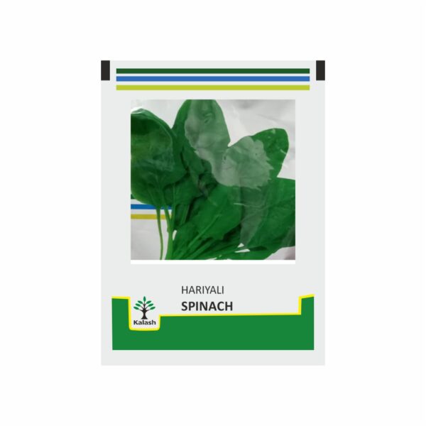 KALASH PALAK HARIYALI (500 GM)