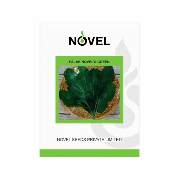 NOVEL PALAK GREEN (500 GM)