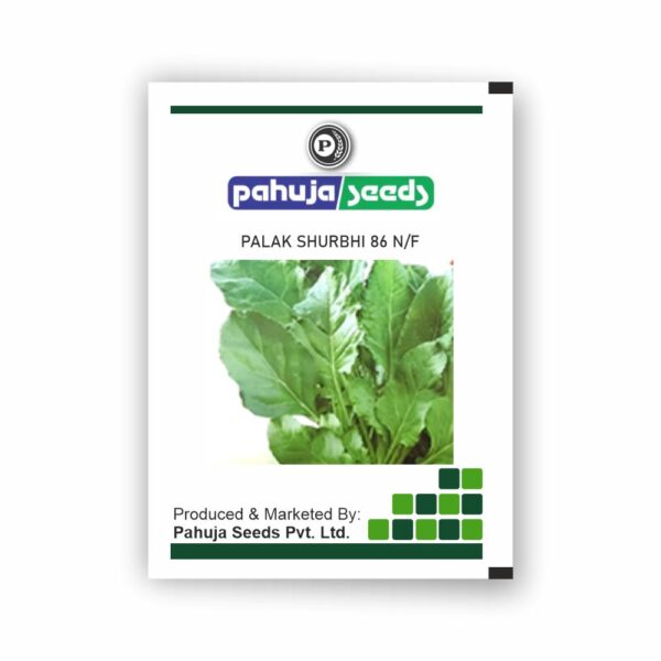 PAHUJA PALAK SURBHI - 86 N/F - (500GMS)