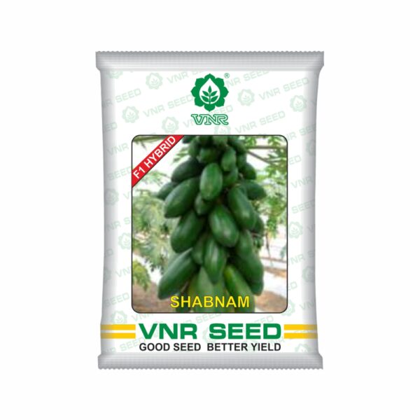 VNR Papaya HYBRID Shabnam (1 GM)