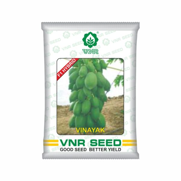 VNR Papaya HYBRID vinayak (1 GM)