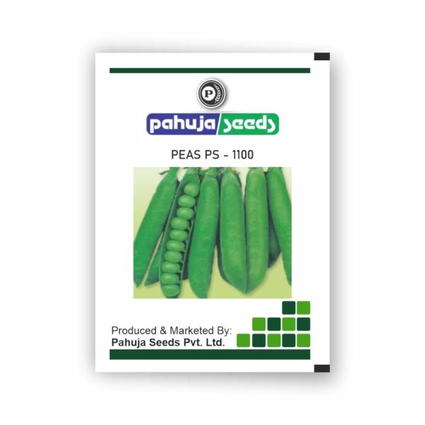 PAHUJA PEAS PS-1100 - PAHUJA - (1KG)