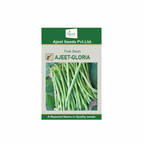 AJEET IMPROVED POLE BEAN GLORIA (100 GM)