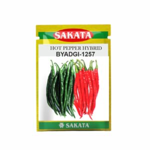 sakata hot pepper hybrid F1 BYADGI (1257) (10 gm)