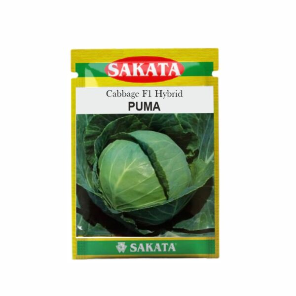 SAKATA CABBAGE F1 PUMA (10 GM) (POUCH)