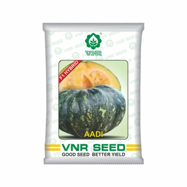 VNR Pumpkin hybrid aadi  (50 gm)