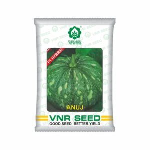 VNR Pumpkin hybrid anuj (50 gm)