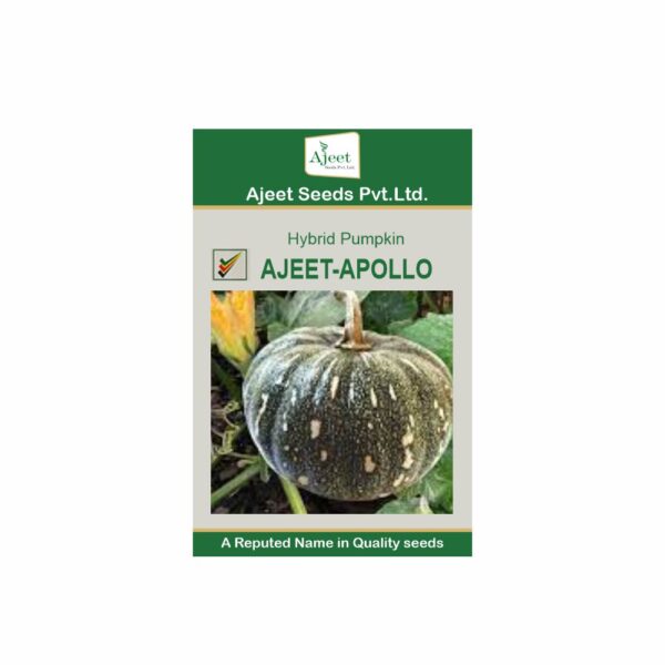 AJEET HYBRID PUMPKIN APOLLO (50 GM)