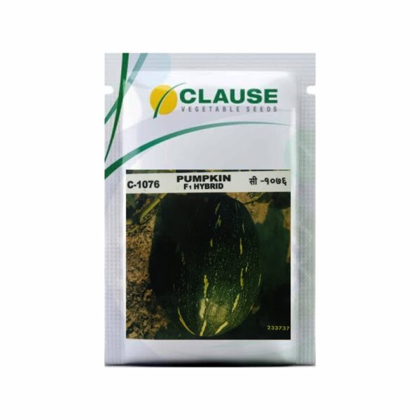 Clause PUMPKIN C-1076 (50 GM)