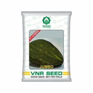VNR Pumpkin hybrid VNR jambo (50 gm) 