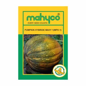 mahyco Pumpkin Hy. MAHY 1  (MPH-1)  10 GM