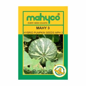 mahyco PUMPKIN HY.MAHY 3 (MPH-3)  10 GM