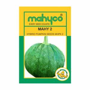 mahyco PUMPKIN HY. MAHY 2 (MHPK-2)  10 GM
