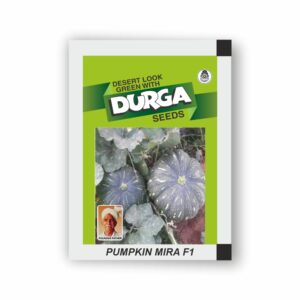DURGA hybrid PUMPKIN MIRA F1 (kitchen garden packet) (Minimum 10 Packets)