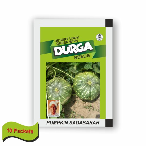DURGA PUMPKIN SADABAHAR (100 GM) (10 PACKETS)