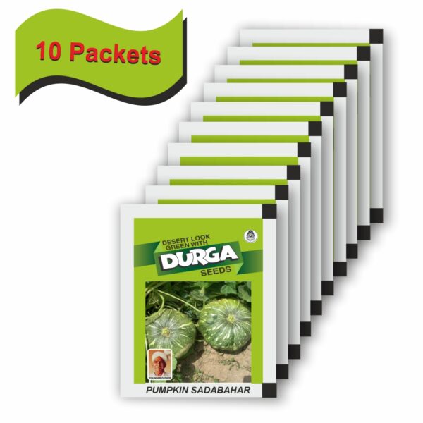 DURGA PUMPKIN SADABAHAR (100 GM) (10 PACKETS) - Image 2