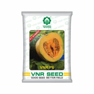 VNR Pumpkin hybrid p6 (50 gm)