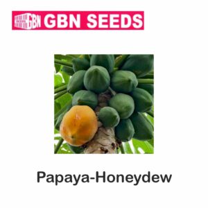 GBN papaya-honeydew seeds (1 KG)(pack of 10)