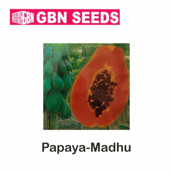 GBN papaya madhu seeds (1 KG)(pack of 10)