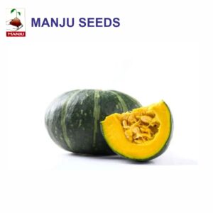 manju pumpkin seeds (1 KG)(PACK OF 10)